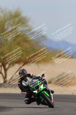 media/Nov-05-2022-SoCal Trackdays (Sat) [[f8d9b725ab]]/Turn 4 Tree of Life (125pm)/